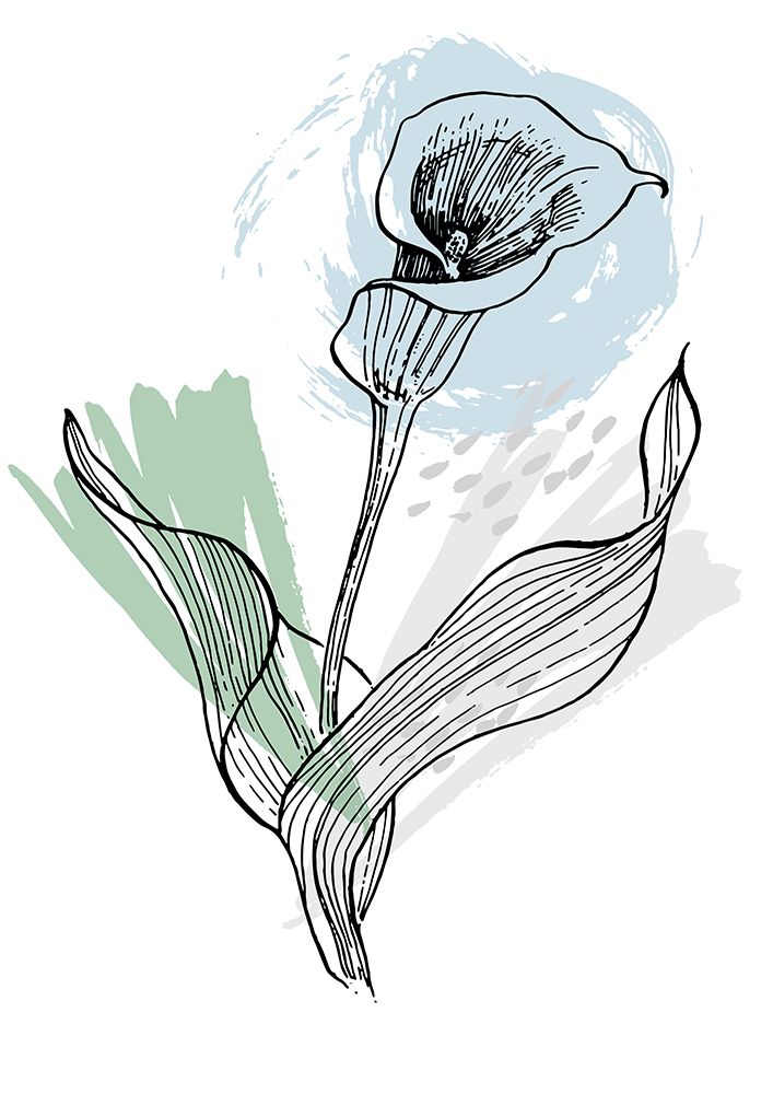 Callas flowers minimal art art print by AcantStudio for $57.95 CAD
