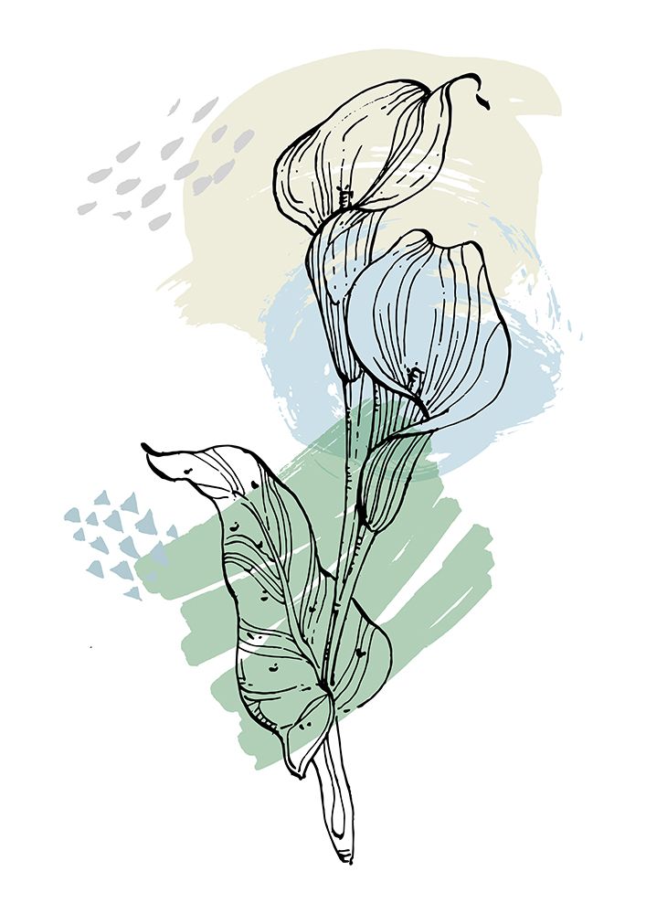 Callas flowers minimal art art print by AcantStudio for $57.95 CAD