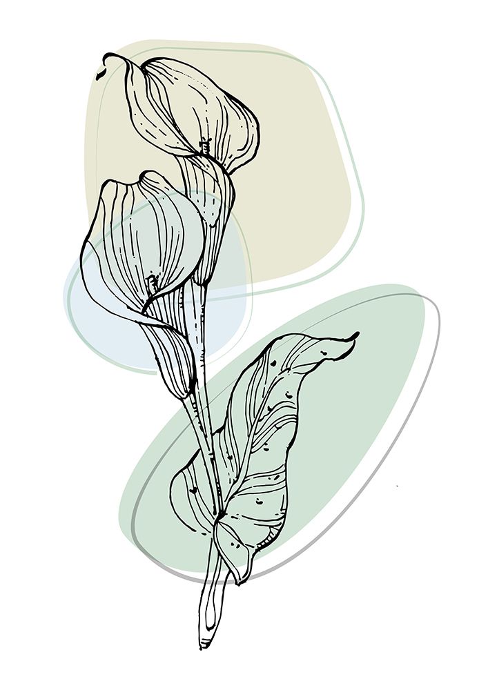 Callas flowers minimal art art print by AcantStudio for $57.95 CAD