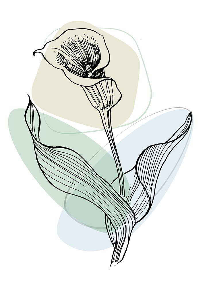 Callas flowers minimal art art print by AcantStudio for $57.95 CAD