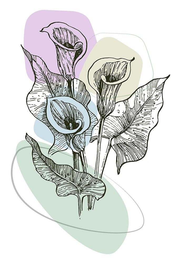 Callas flowers minimal art art print by AcantStudio for $57.95 CAD