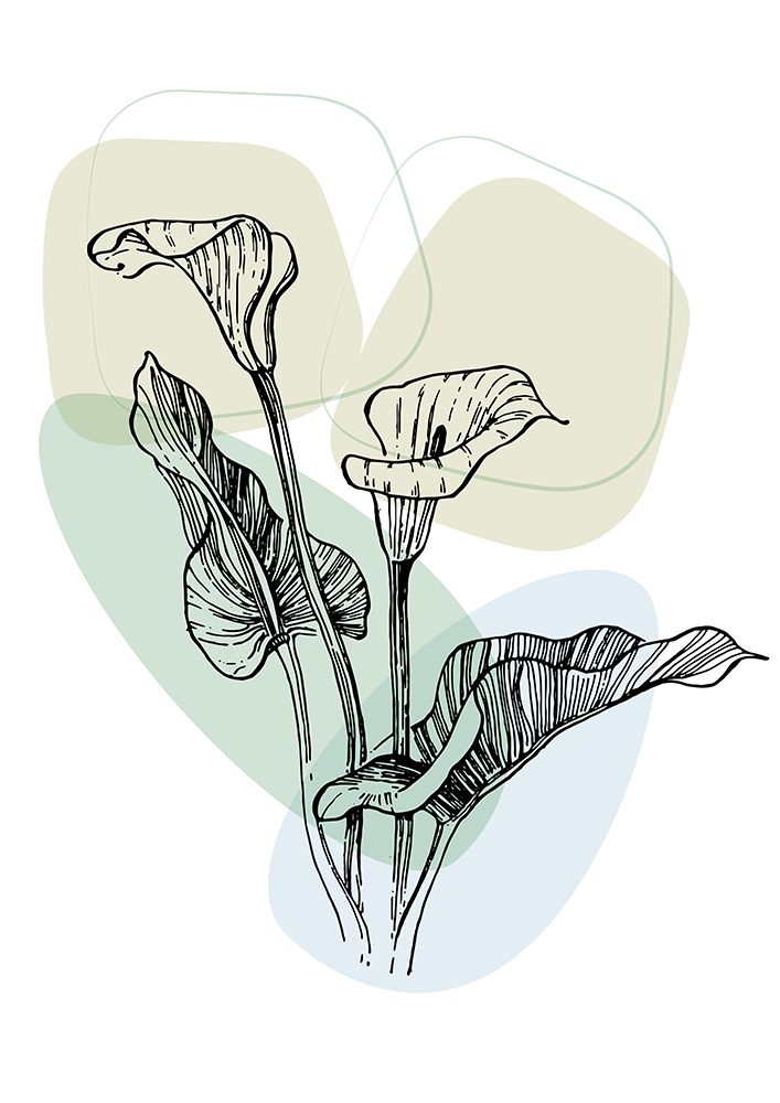 Callas flowers minimal art art print by AcantStudio for $57.95 CAD