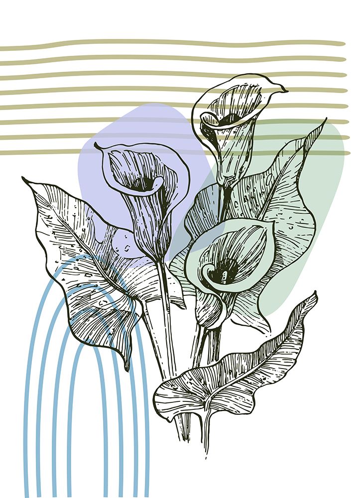 Callas flowers minimal art art print by AcantStudio for $57.95 CAD