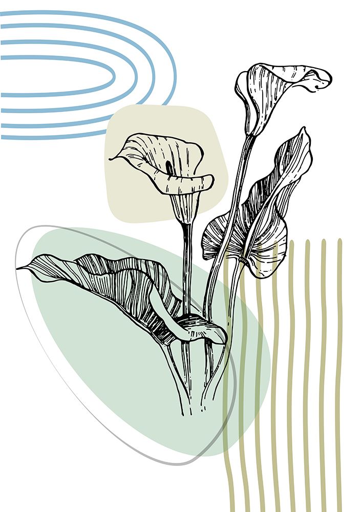 Callas flowers minimal art art print by AcantStudio for $57.95 CAD