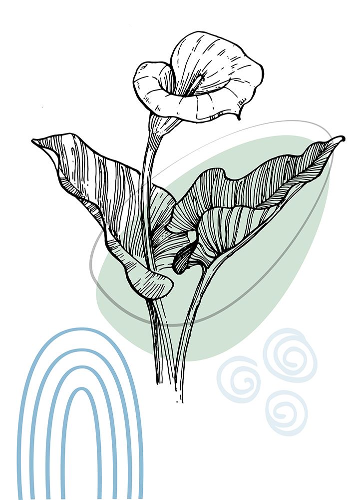 Callas flowers minimal art art print by AcantStudio for $57.95 CAD