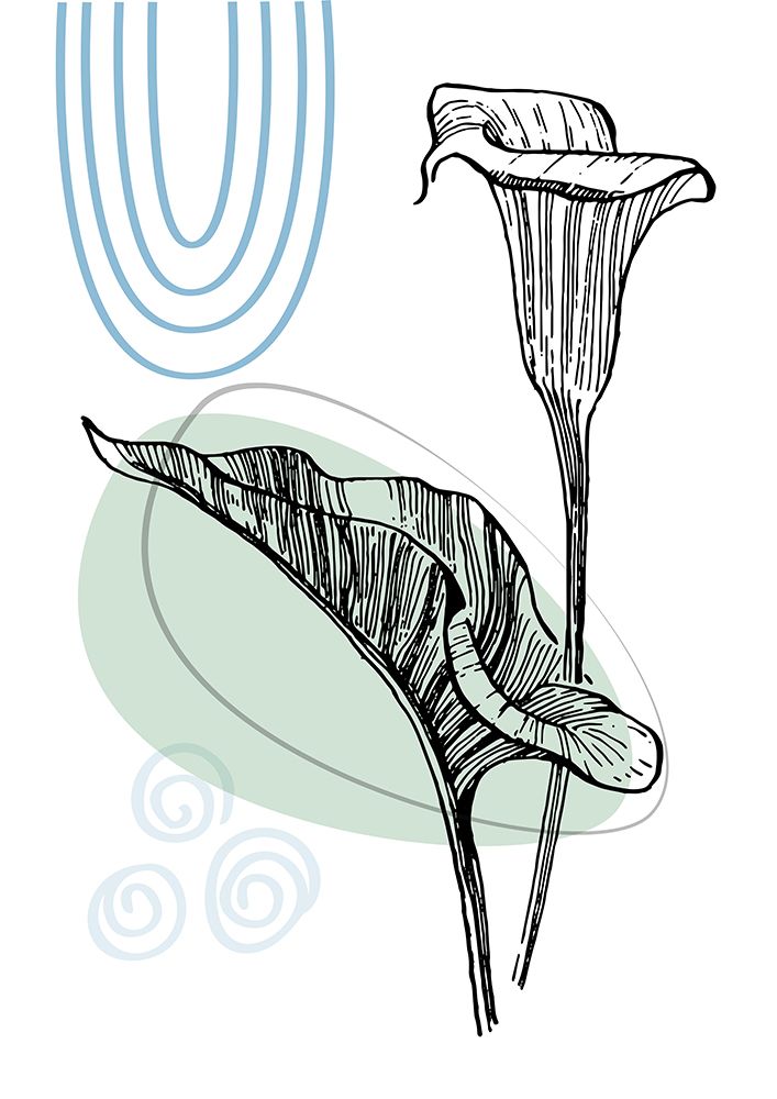 Callas flowers minimal art art print by AcantStudio for $57.95 CAD