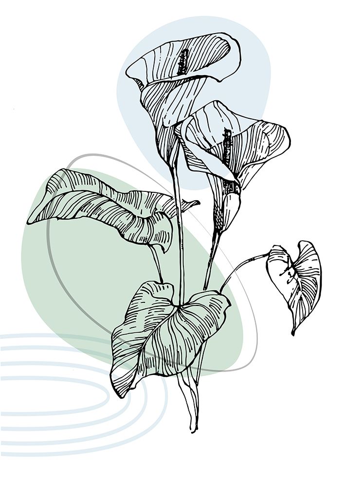 Callas flowers minimal art art print by AcantStudio for $57.95 CAD