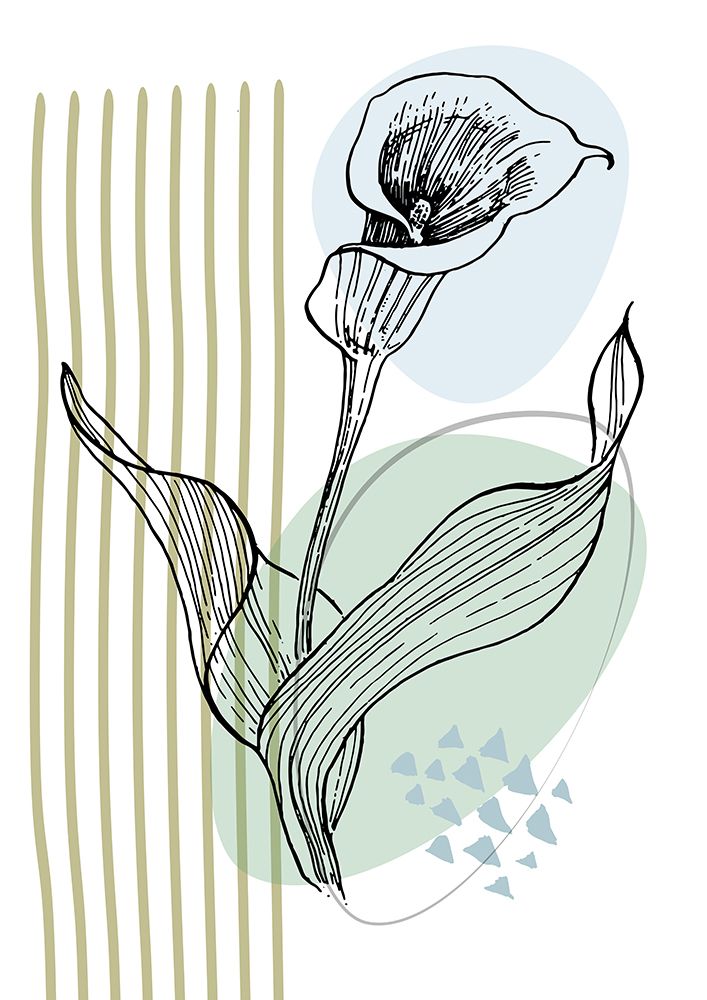 Callas flowers minimal art art print by AcantStudio for $57.95 CAD