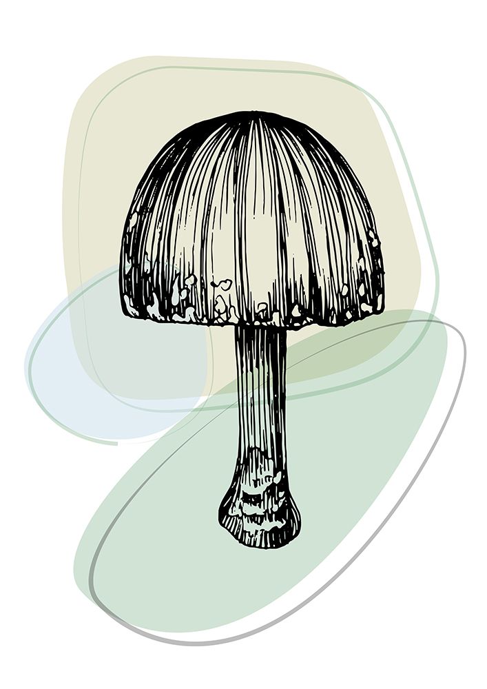 Mushrooms art print by AcantStudio for $57.95 CAD