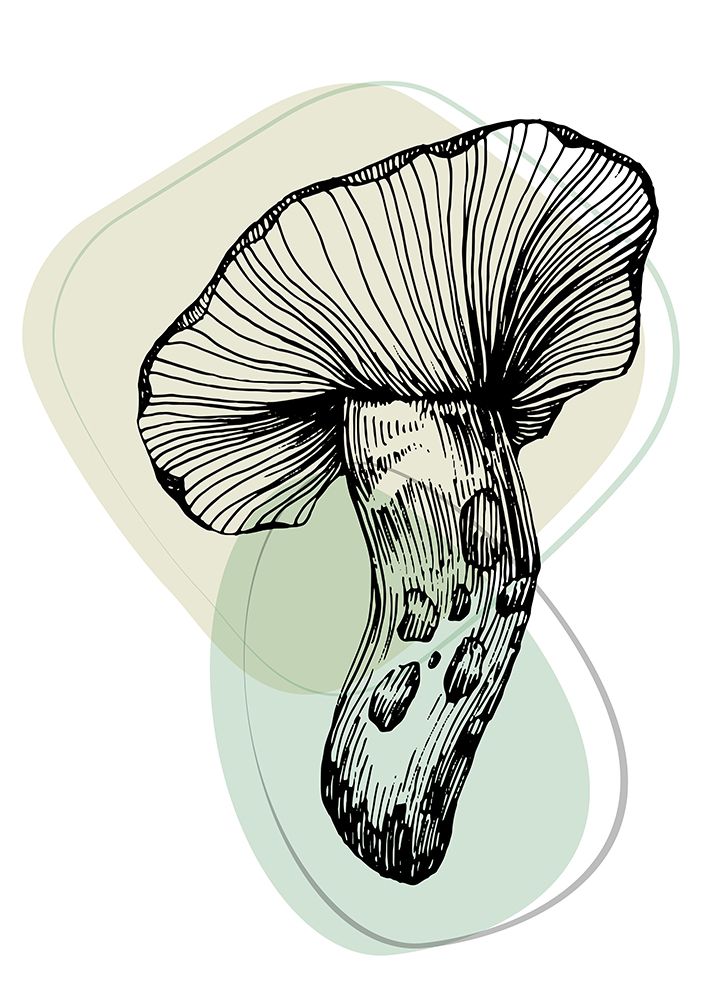 Mushrooms art print by AcantStudio for $57.95 CAD