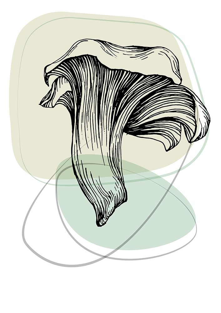 Mushrooms art print by AcantStudio for $57.95 CAD