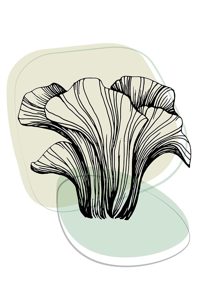 Mushrooms art print by AcantStudio for $57.95 CAD