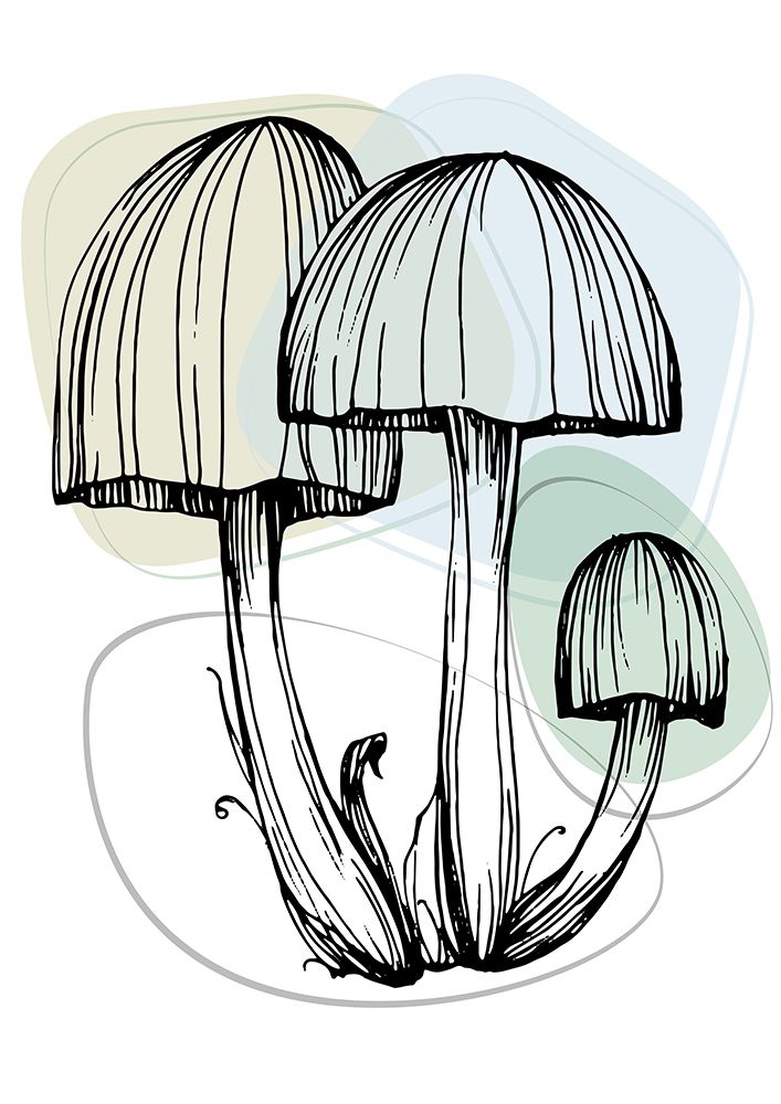 Mushrooms art print by AcantStudio for $57.95 CAD