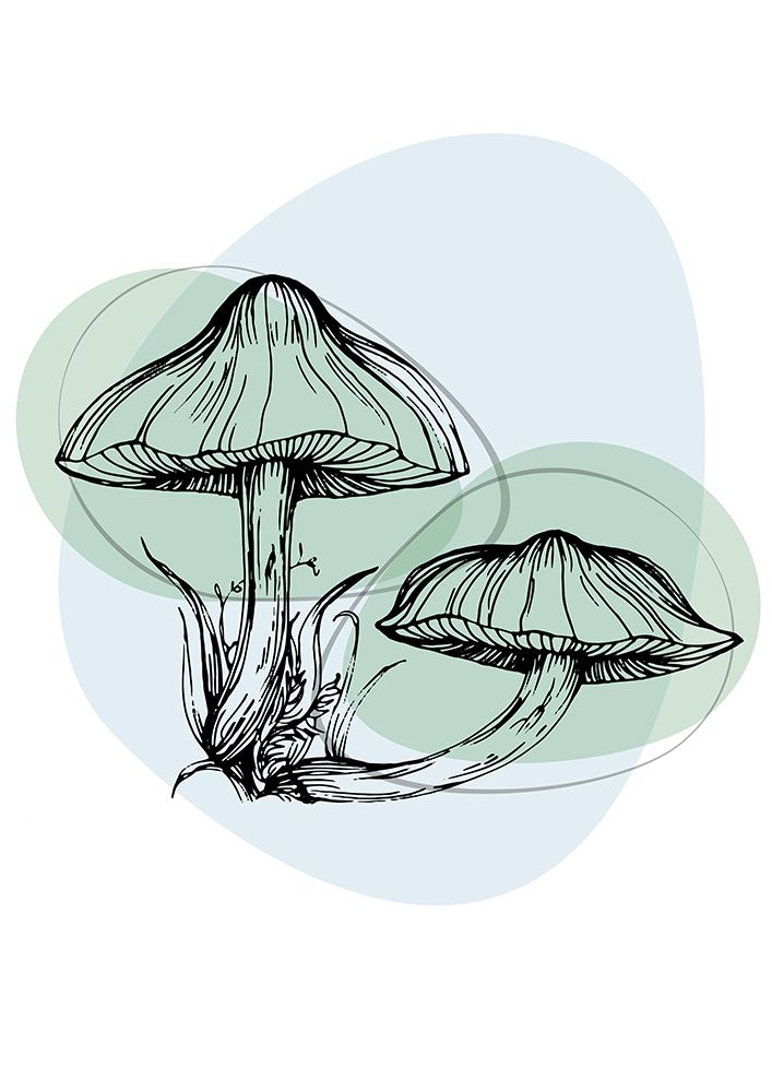 Mushrooms art print by AcantStudio for $57.95 CAD