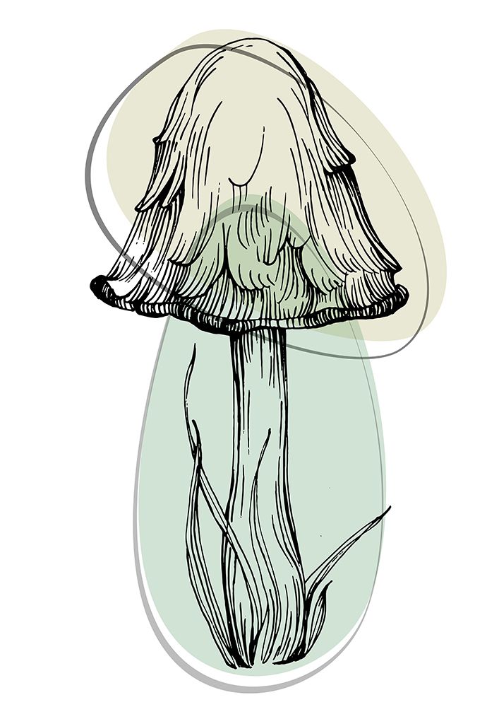 Mushrooms art print by AcantStudio for $57.95 CAD