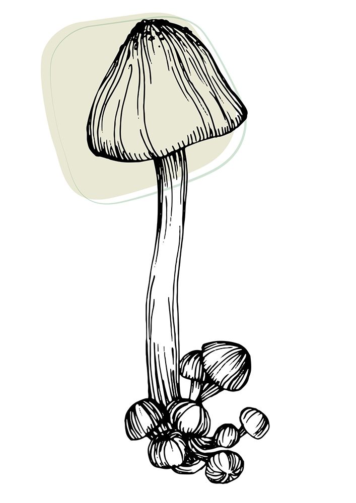 Mushrooms art print by AcantStudio for $57.95 CAD