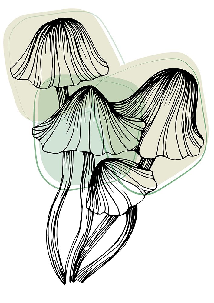 Mushrooms art print by AcantStudio for $57.95 CAD