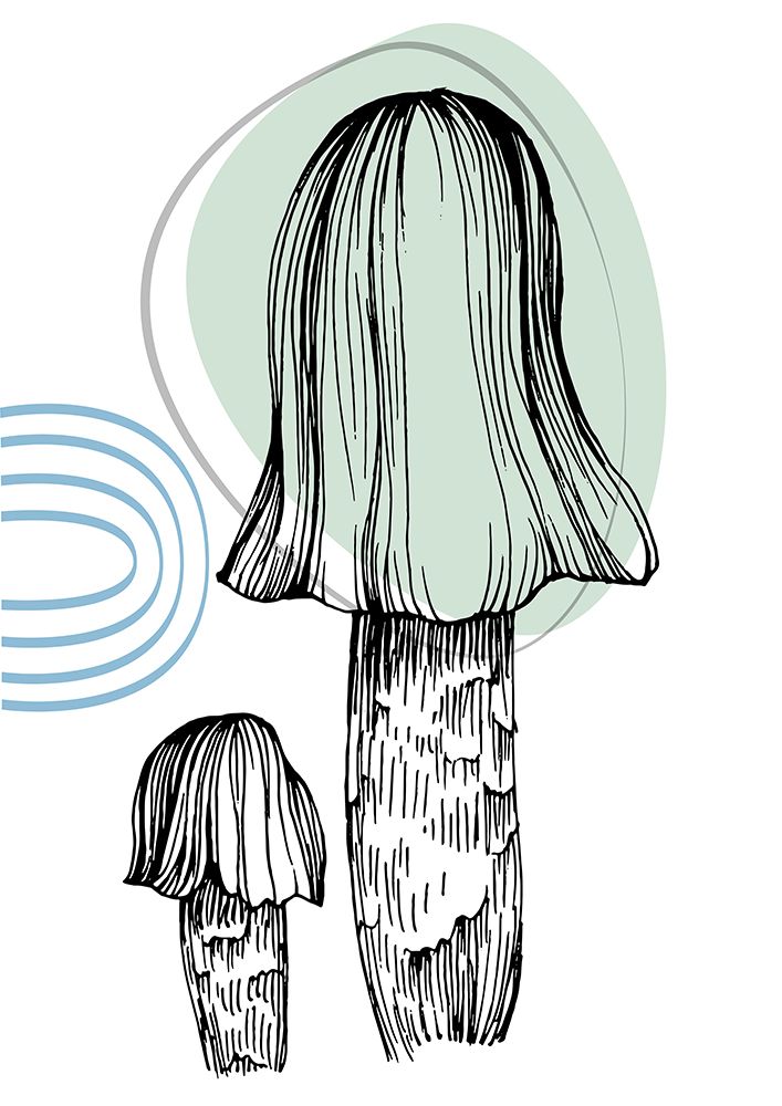 Mushrooms art print by AcantStudio for $57.95 CAD