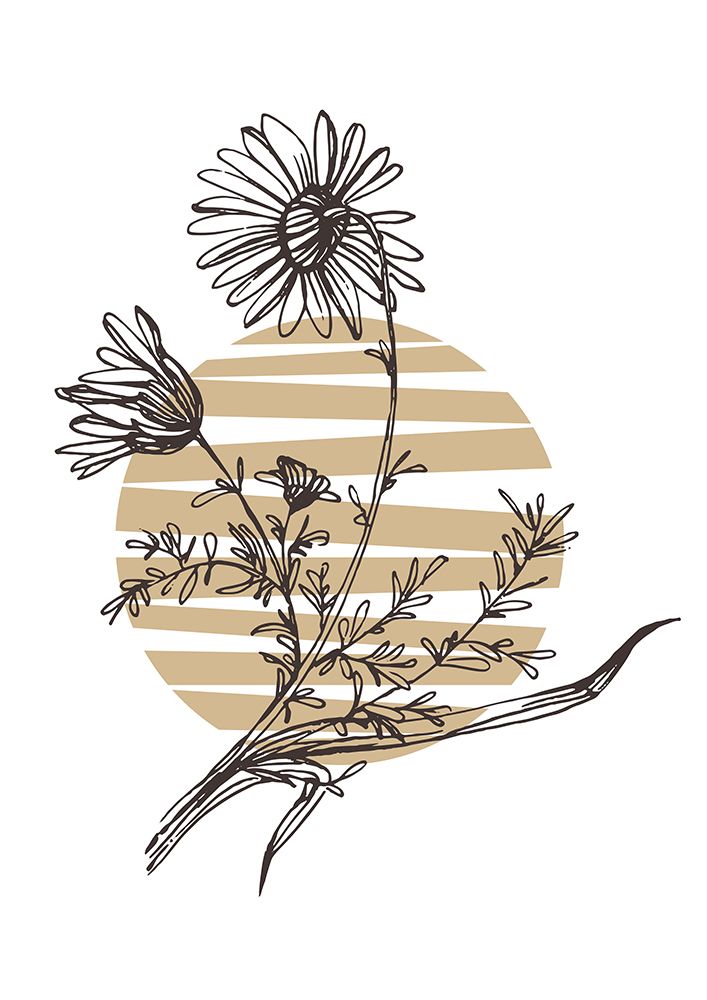Chamomile art print by AcantStudio for $57.95 CAD