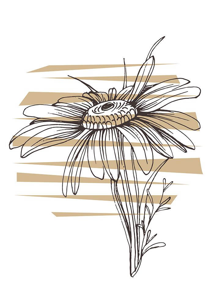 Wild daisy chamomile art print by AcantStudio for $57.95 CAD