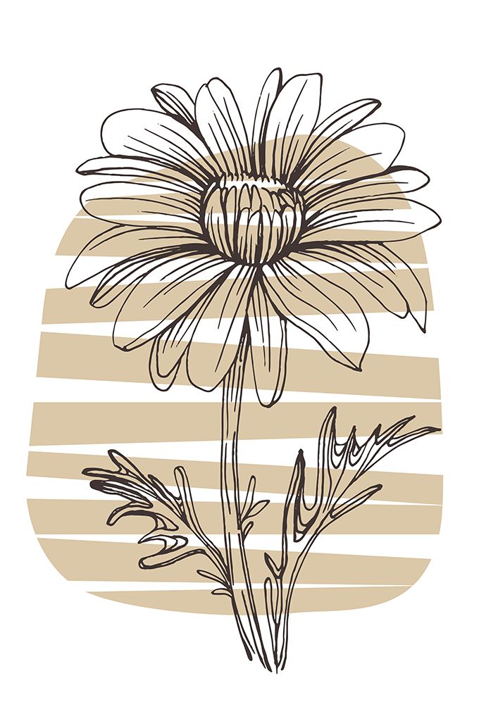 Wild daisy chamomile art print by AcantStudio for $57.95 CAD
