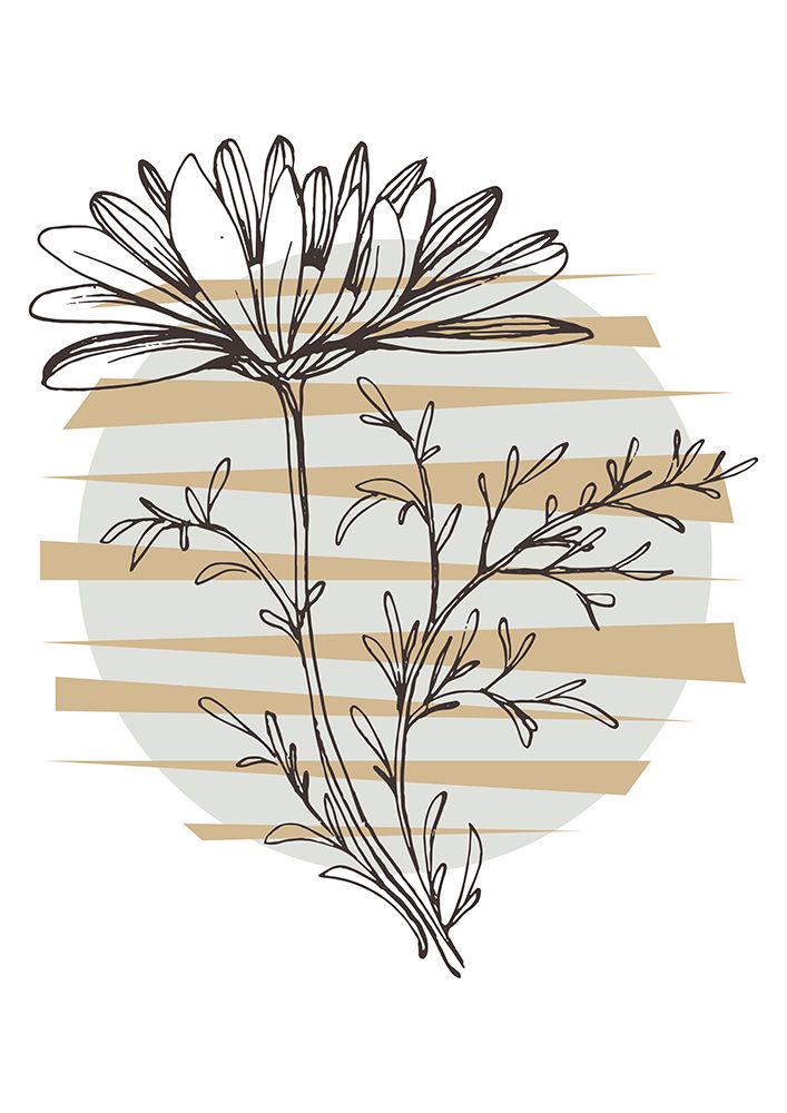 Wild daisy chamomile art print by AcantStudio for $57.95 CAD