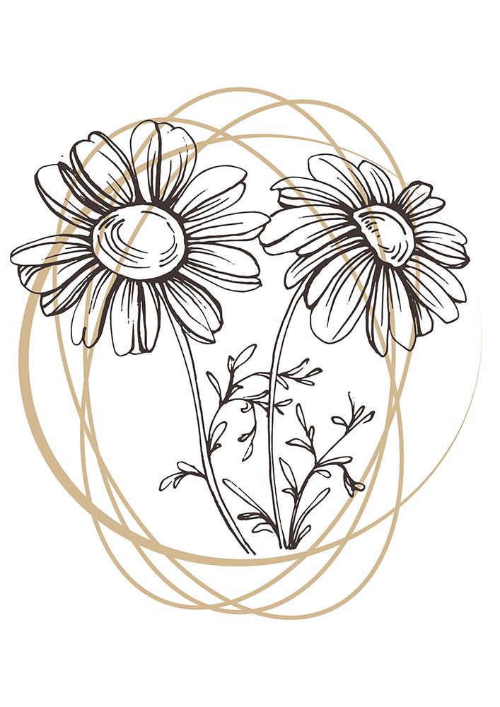 Wild daisy chamomile art print by AcantStudio for $57.95 CAD