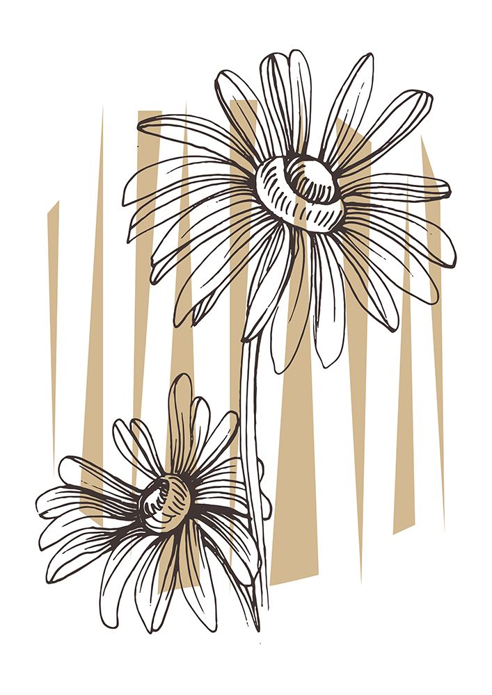 Wild daisy chamomile art print by AcantStudio for $57.95 CAD