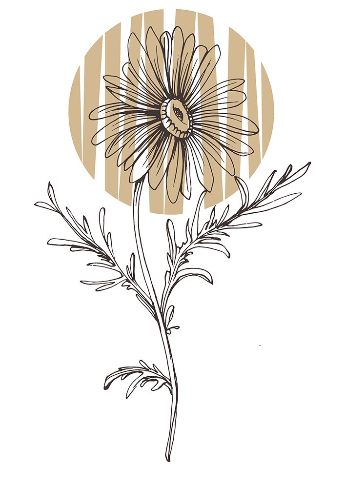 Wild daisy chamomile art print by AcantStudio for $57.95 CAD