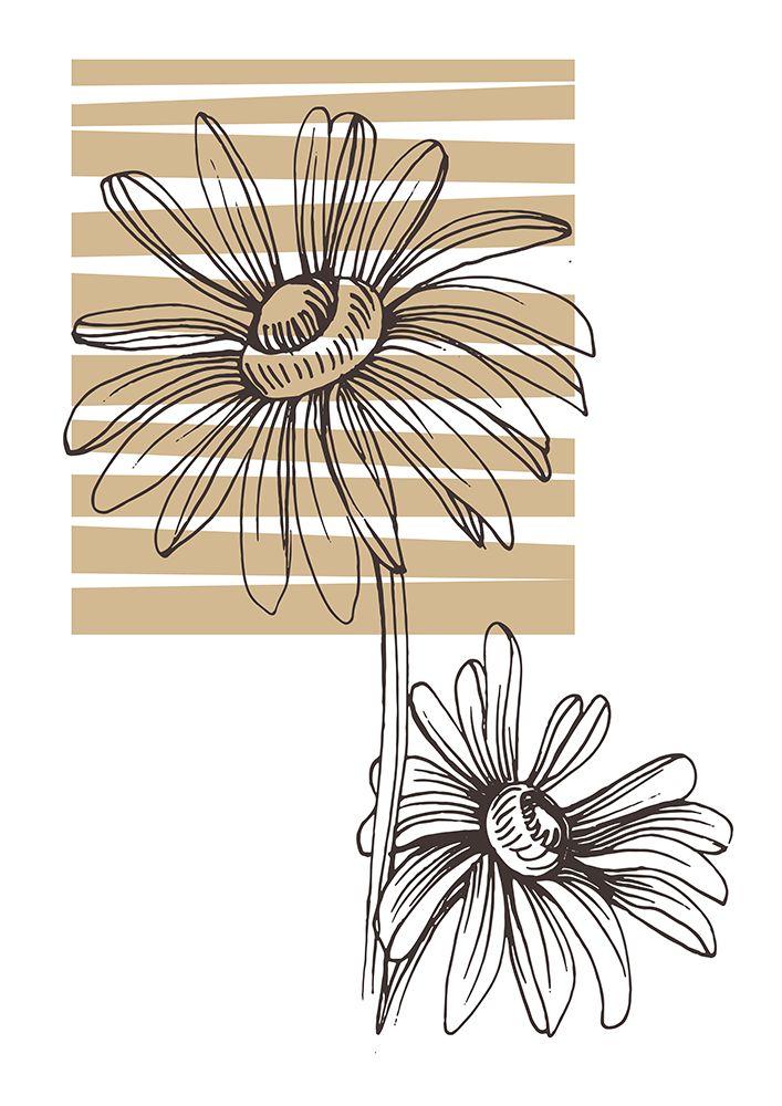 Wild daisy chamomile art print by AcantStudio for $57.95 CAD