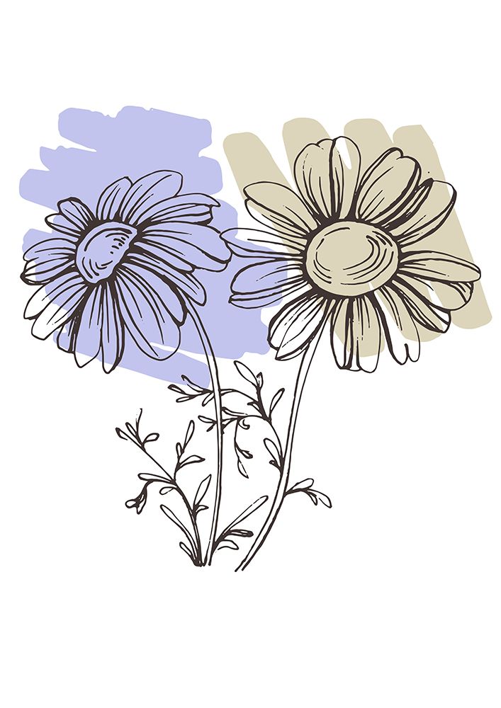Wild daisy chamomile art print by AcantStudio for $57.95 CAD