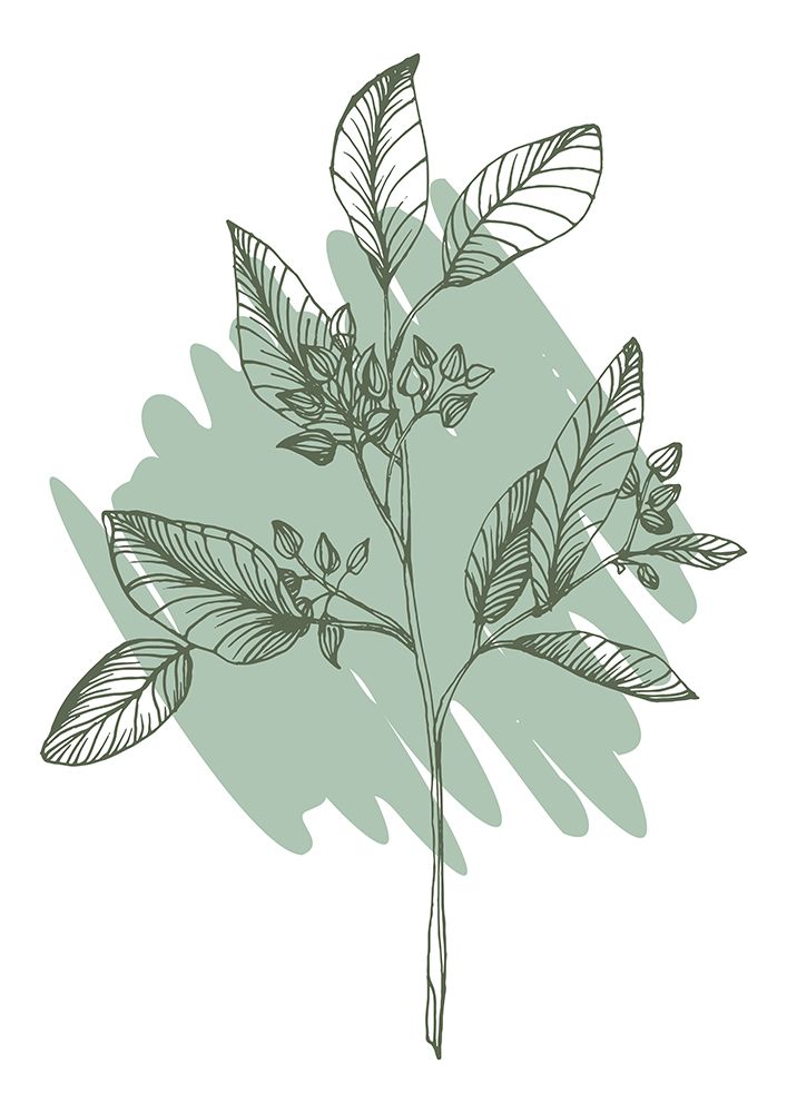 Eucalyptus flowers minimal art art print by AcantStudio for $57.95 CAD