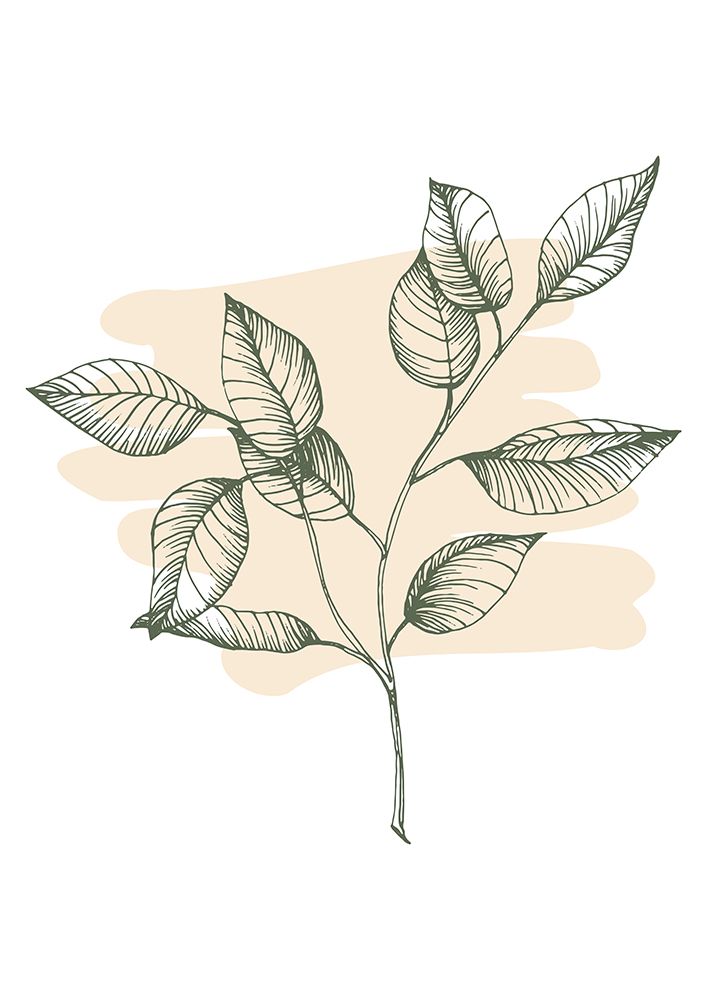 Eucalyptus flowers minimal art art print by AcantStudio for $57.95 CAD