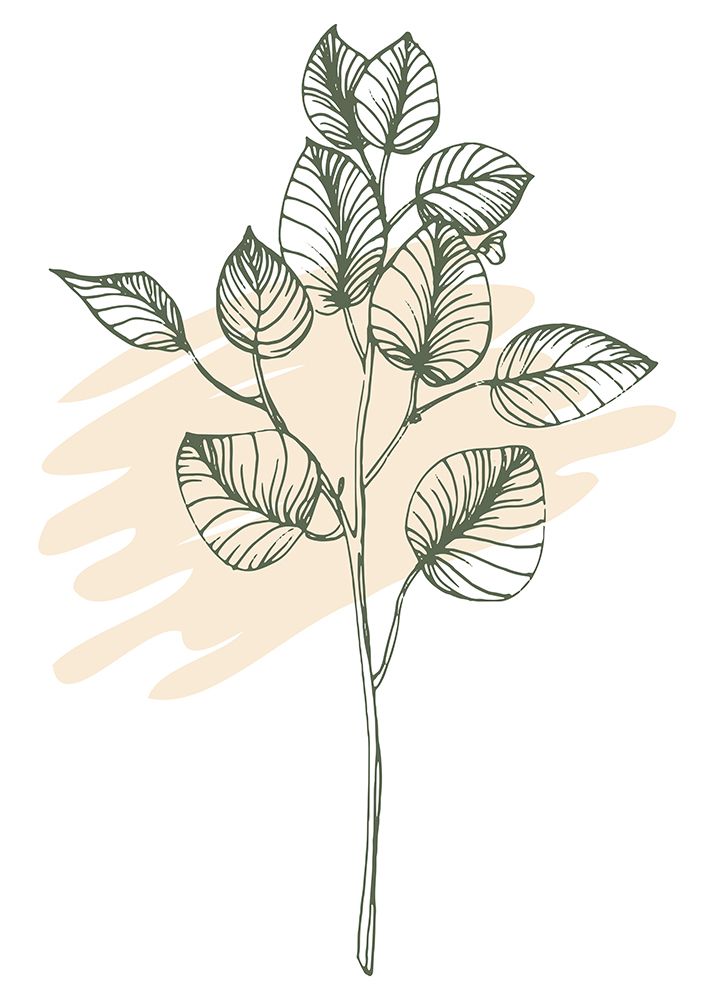 Eucalyptus flowers minimal art art print by AcantStudio for $57.95 CAD