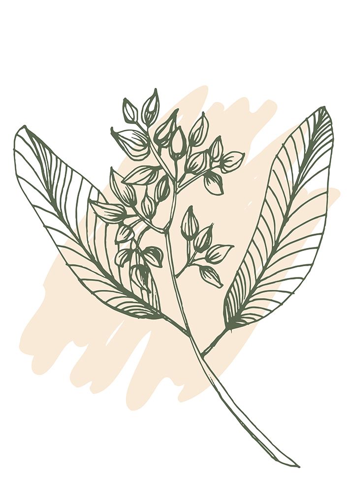 Eucalyptus flowers minimal art art print by AcantStudio for $57.95 CAD