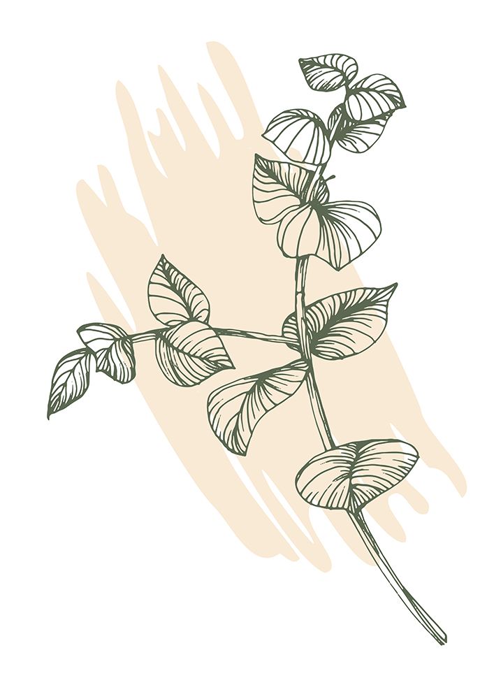 Eucalyptus flowers minimal art art print by AcantStudio for $57.95 CAD