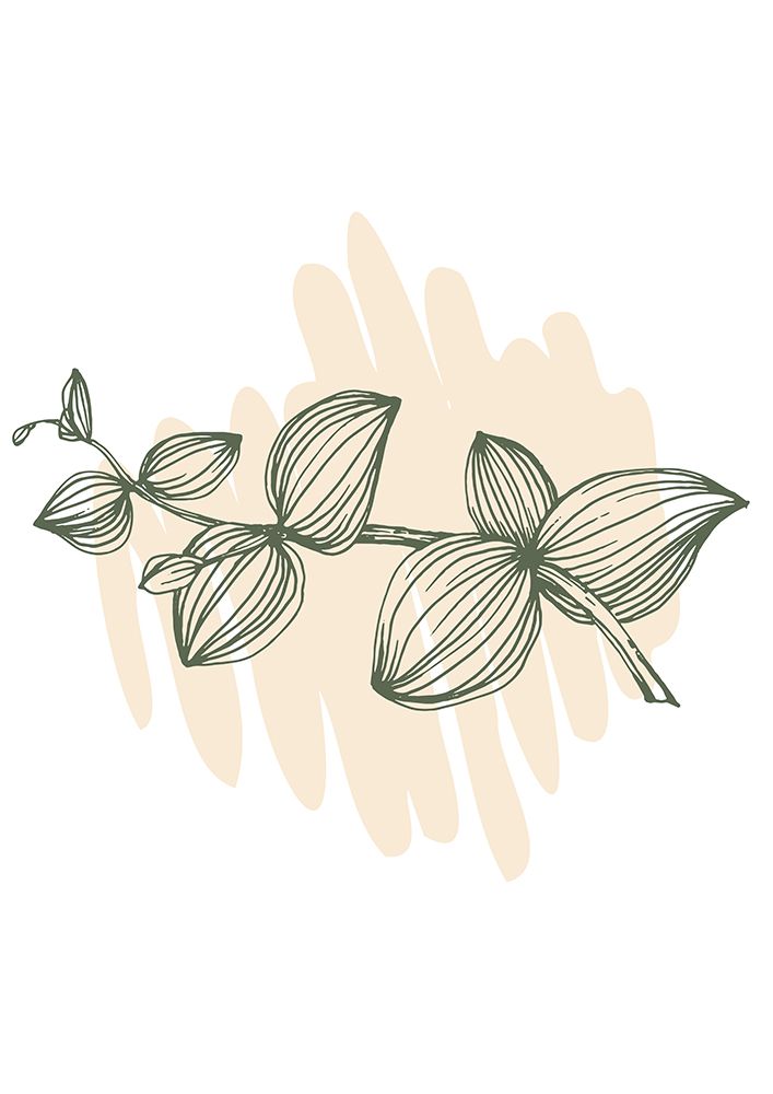 Eucalyptus flowers minimal art art print by AcantStudio for $57.95 CAD
