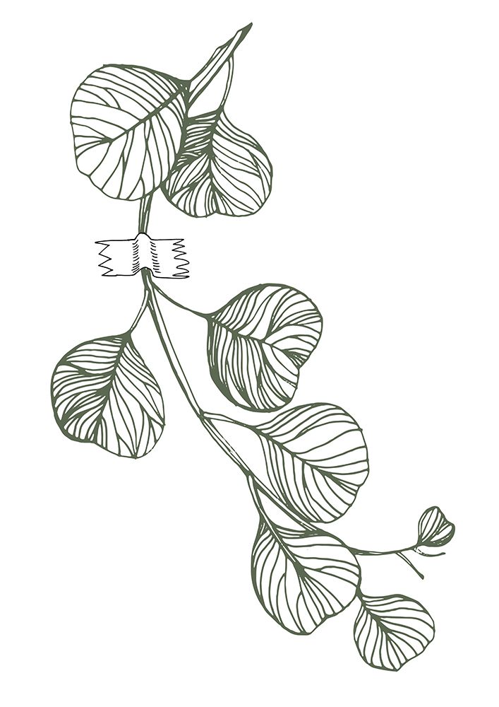 Eucalyptus flowers minimal art art print by AcantStudio for $57.95 CAD