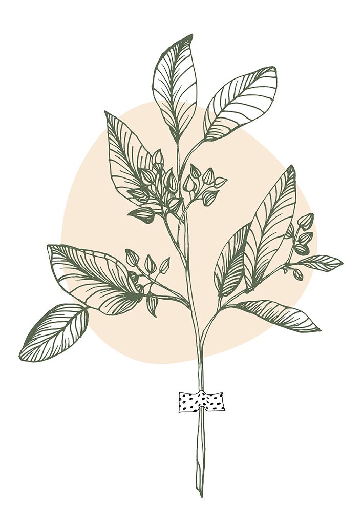 Eucalyptus flowers minimal art art print by AcantStudio for $57.95 CAD