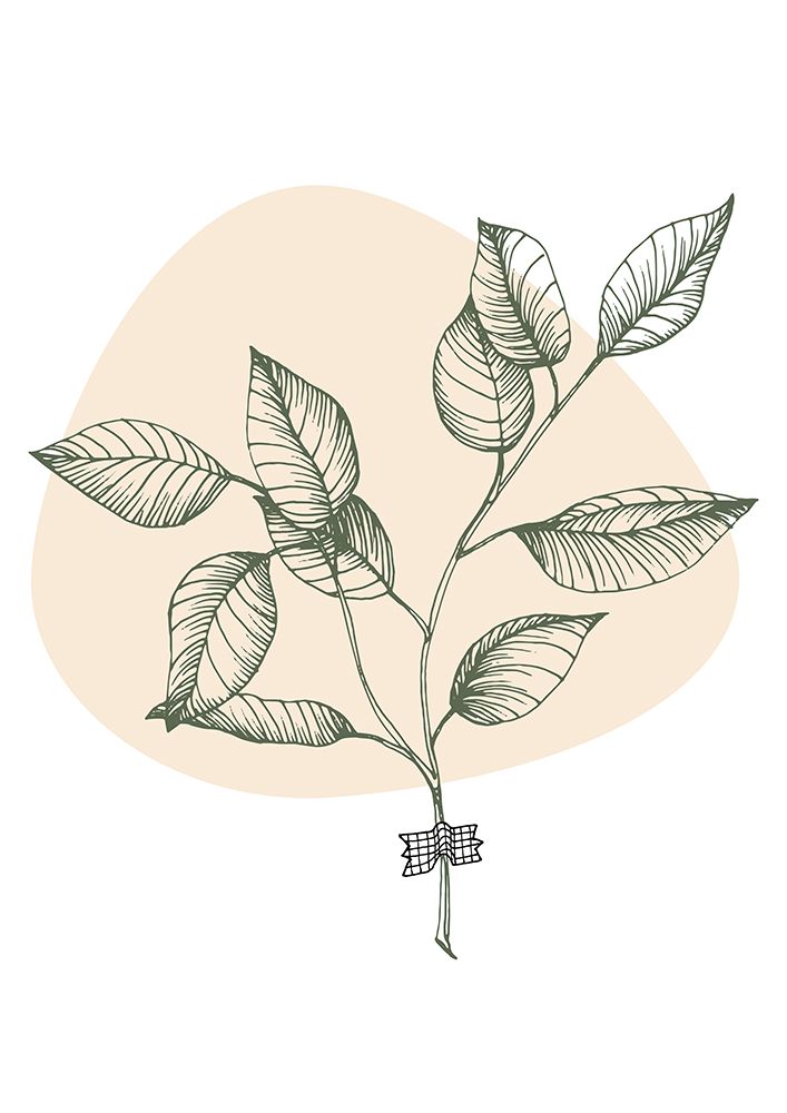 Eucalyptus flowers minimal art art print by AcantStudio for $57.95 CAD