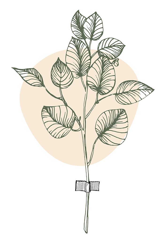 Eucalyptus flowers minimal art art print by AcantStudio for $57.95 CAD