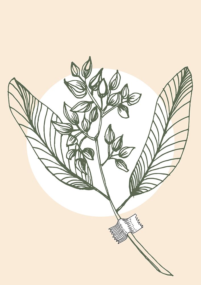 Eucalyptus flowers minimal art art print by AcantStudio for $57.95 CAD