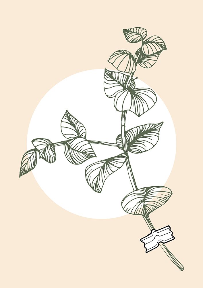 Eucalyptus flowers minimal art art print by AcantStudio for $57.95 CAD