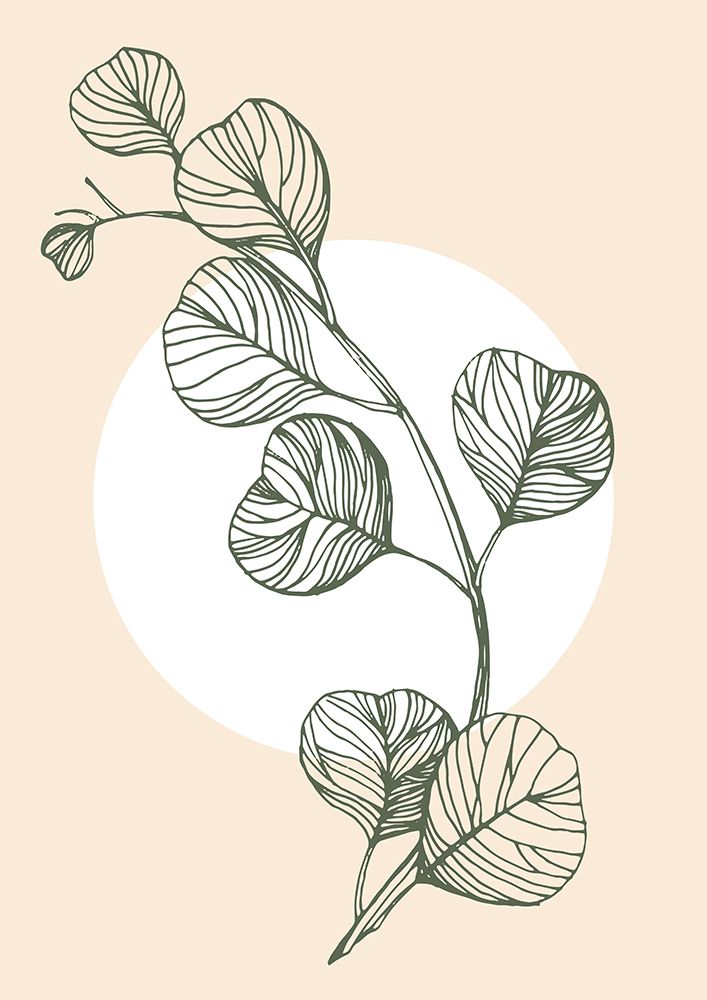 Eucalyptus flowers minimal art art print by AcantStudio for $57.95 CAD
