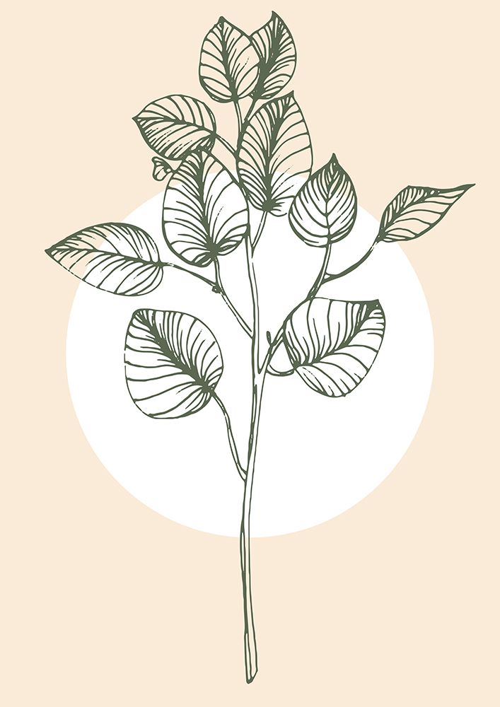 Eucalyptus flowers minimal art art print by AcantStudio for $57.95 CAD