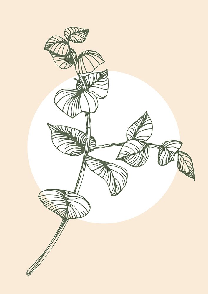 Eucalyptus flowers minimal art art print by AcantStudio for $57.95 CAD