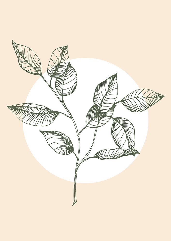 Eucalyptus flowers minimal art art print by AcantStudio for $57.95 CAD