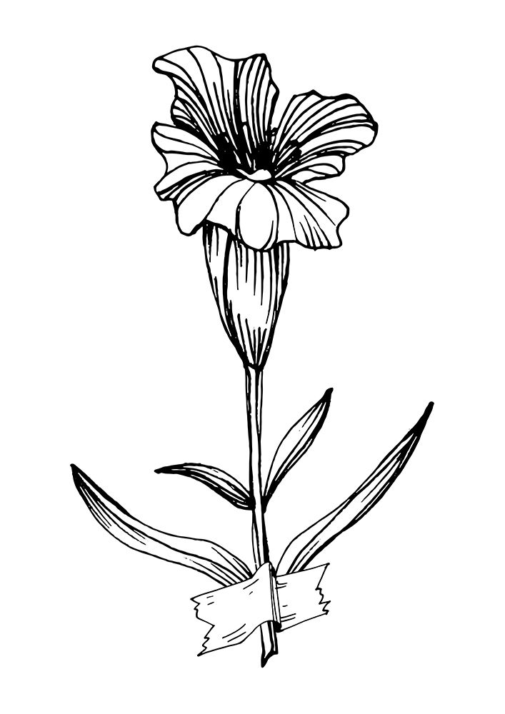 Lavender flowers art print by AcantStudio for $57.95 CAD