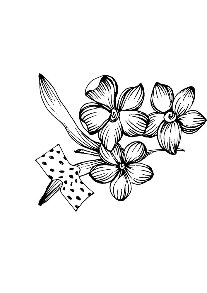 Lavender flowers art print by AcantStudio for $57.95 CAD