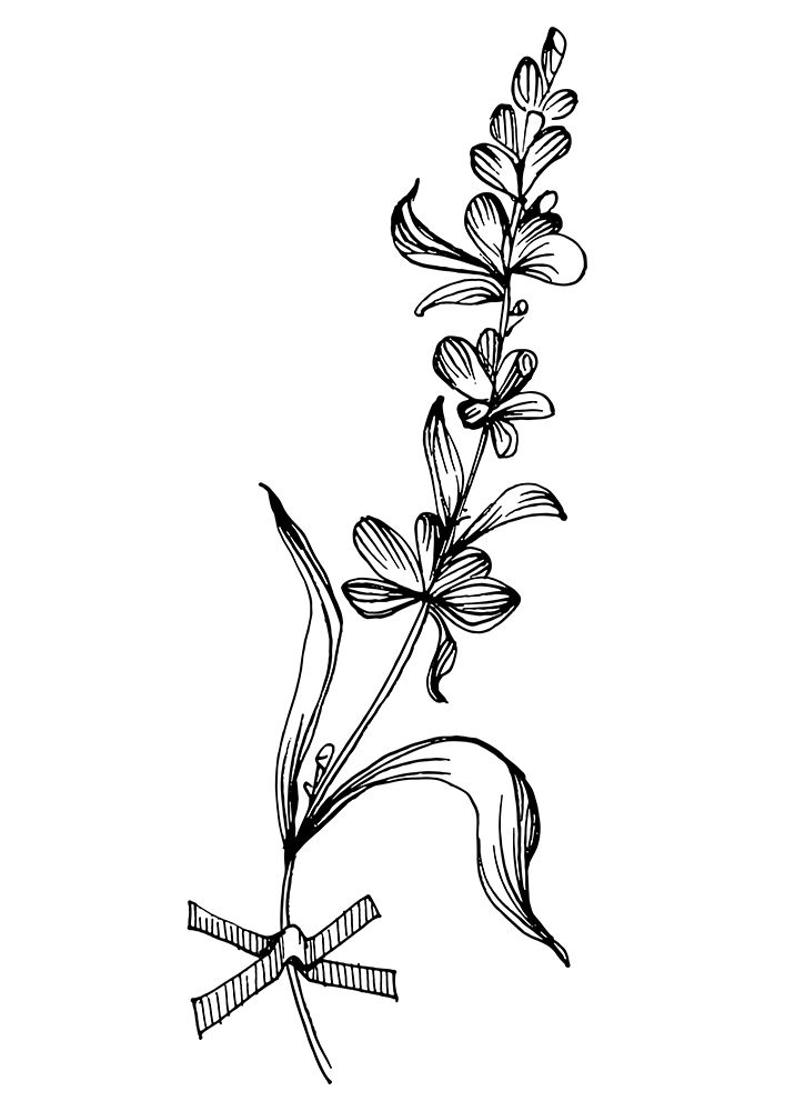 Lavender flowers art print by AcantStudio for $57.95 CAD